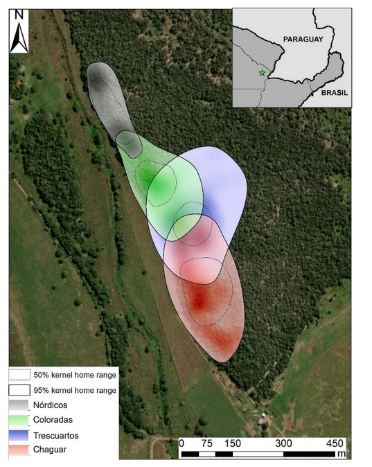 Evaluación y caracterización de los patrones acústicos en ecosistemas urbanos
